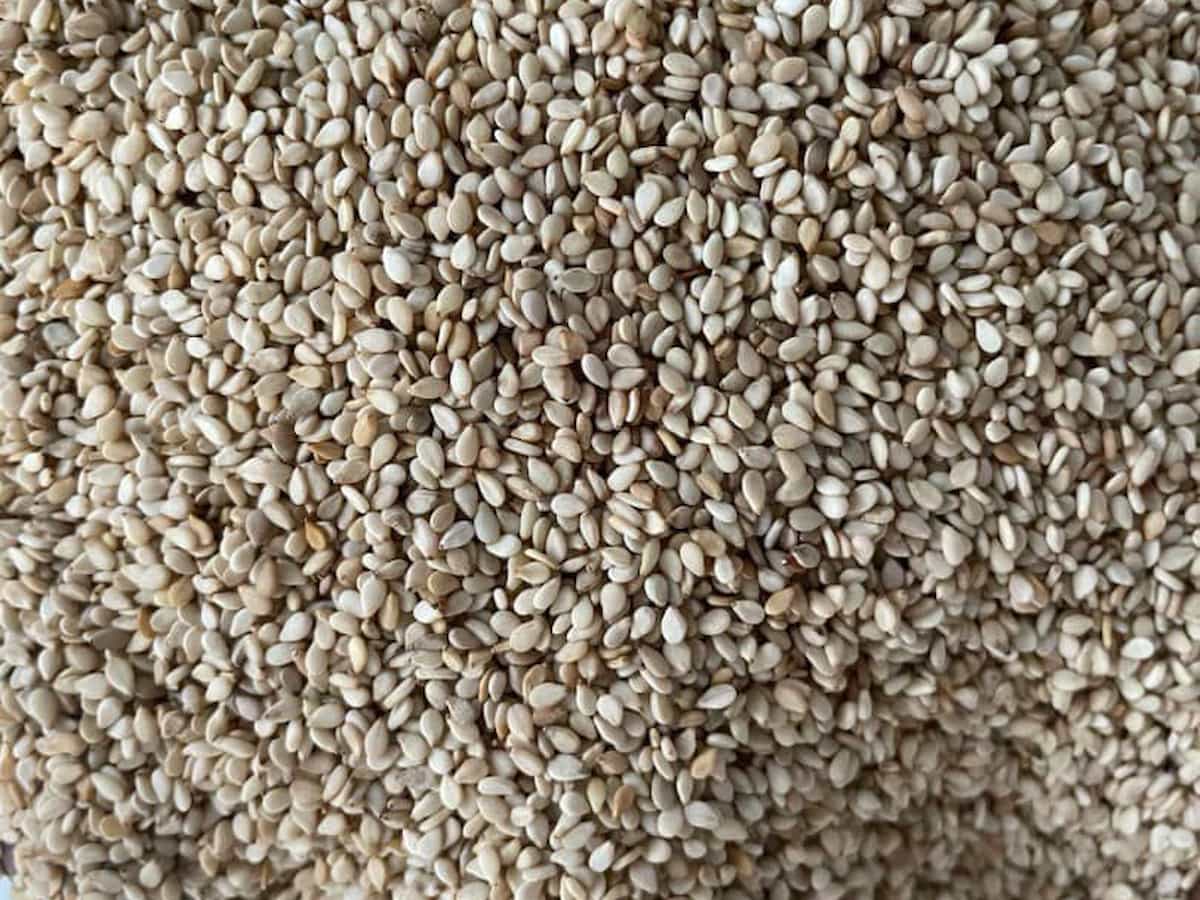 Machine-cleaned Nigerian white sesame seeds in 98/2/2 export grade